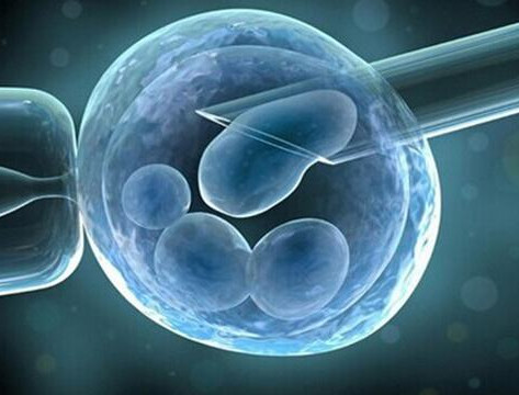 张医生